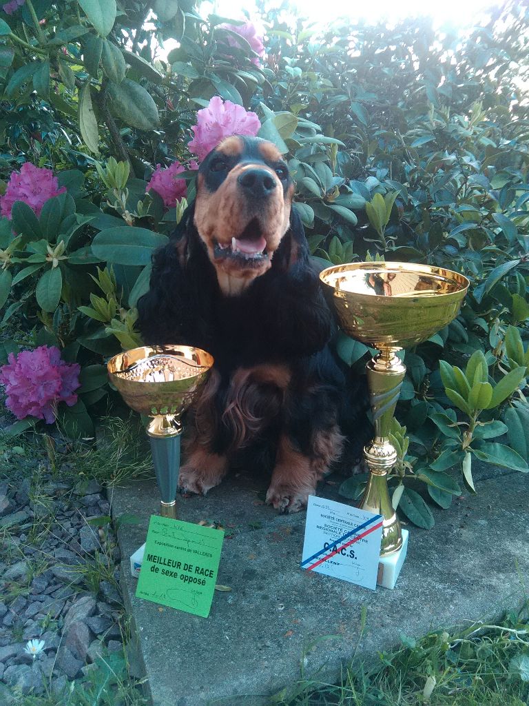 Lego Du Domaine De Diane